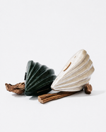 FAN SHELL CLUTCH BAG
