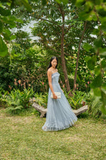 DEMETER